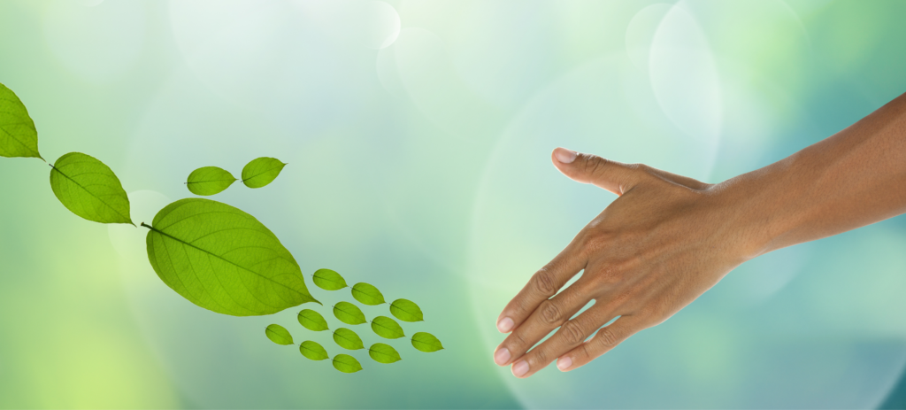 Growing Inclination towards sustainability